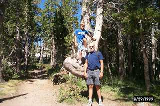Near Carson Pass