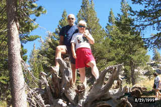 Near Carson Pass
