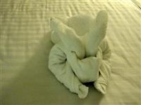 Towel sculpture on our bed